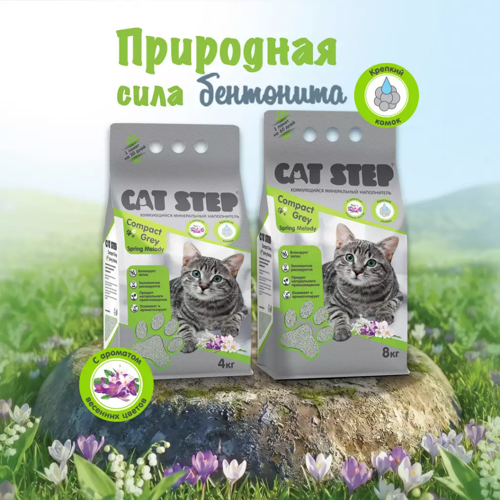 Внутренний баннер C.ST. 1080-х-1080_S.jpg Внутренний баннер C.ST. 1080-х-1080_S.jpg