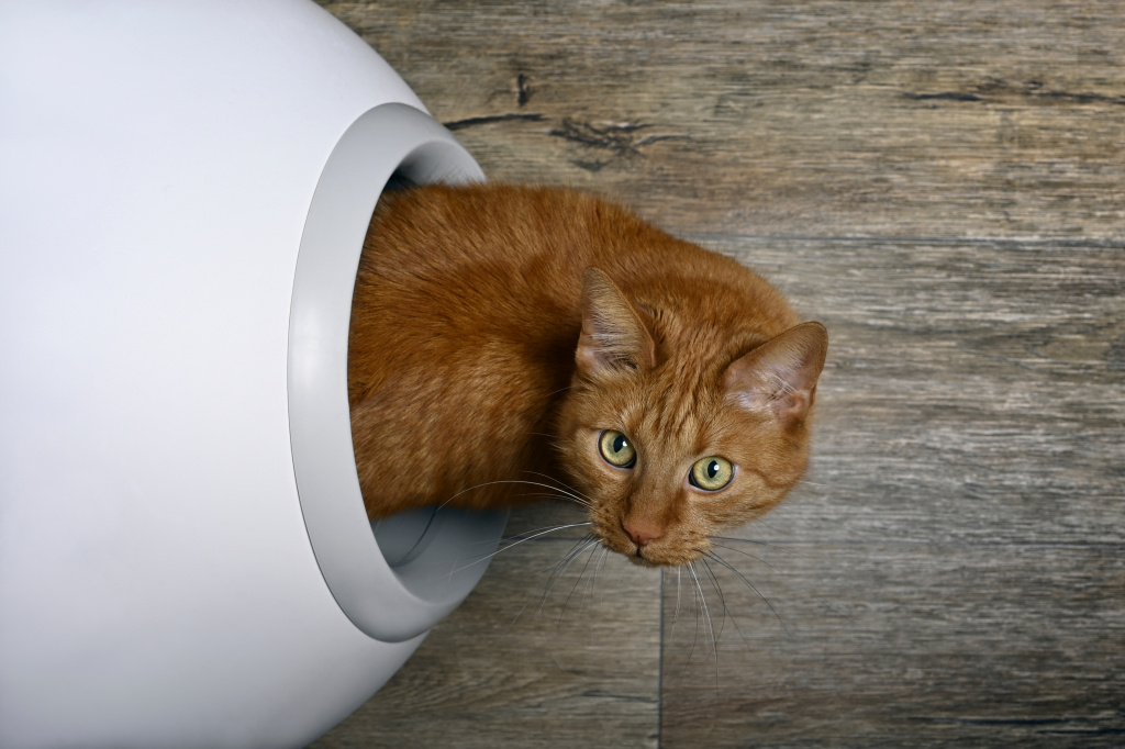Автоматические кошачьи туалеты