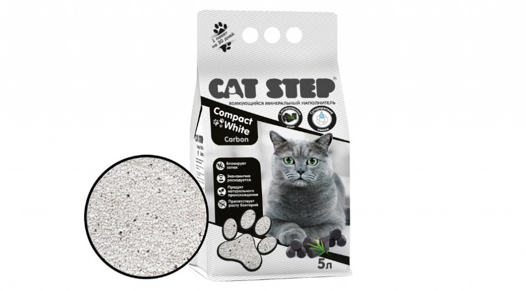 CAT STEP (1).jpg