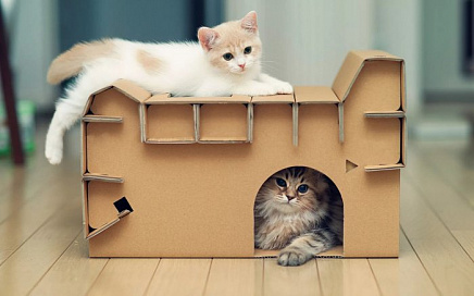 Дом для кошки своими руками