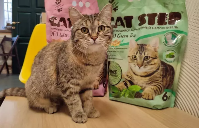 Новости благотворительного проекта "Домой с CAT STEP"