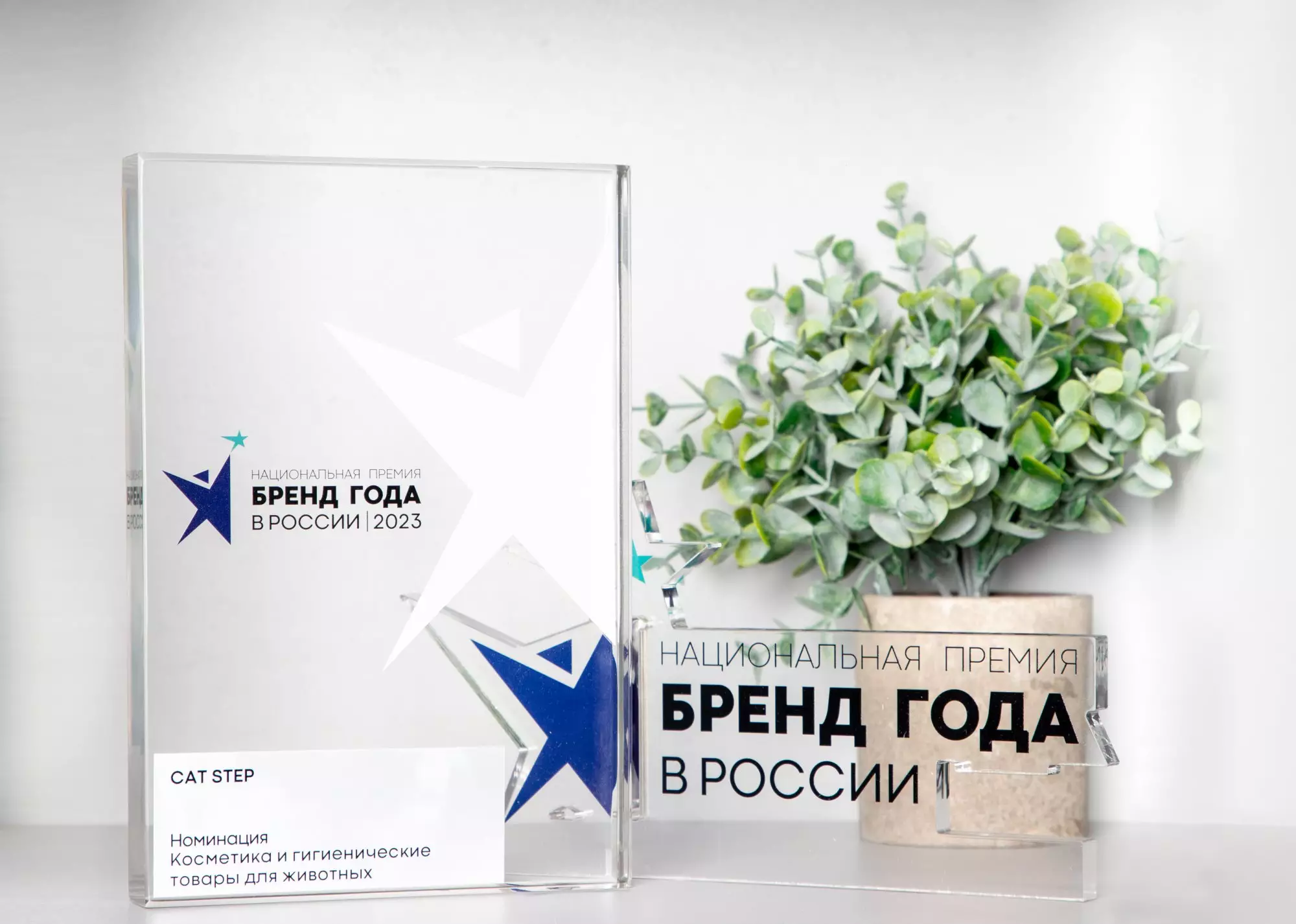 CAT STEP – лауреат Национальной премии «Бренд года в России»!