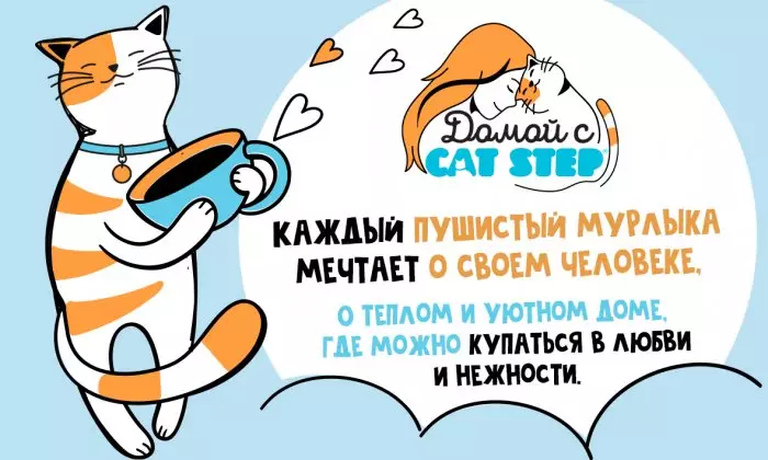 Старт благотворительного проекта «Домой с CAT STEP»